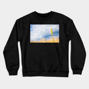 Wheat Crewneck Sweatshirt